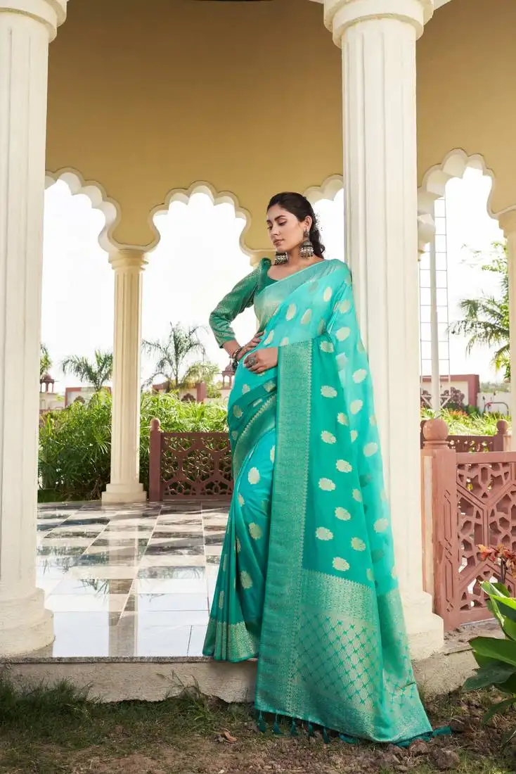 Sea green woven gold zari banarasi soft georgette saree