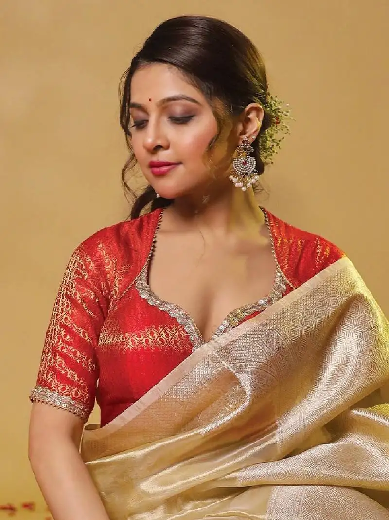 Red brocade designer blouse