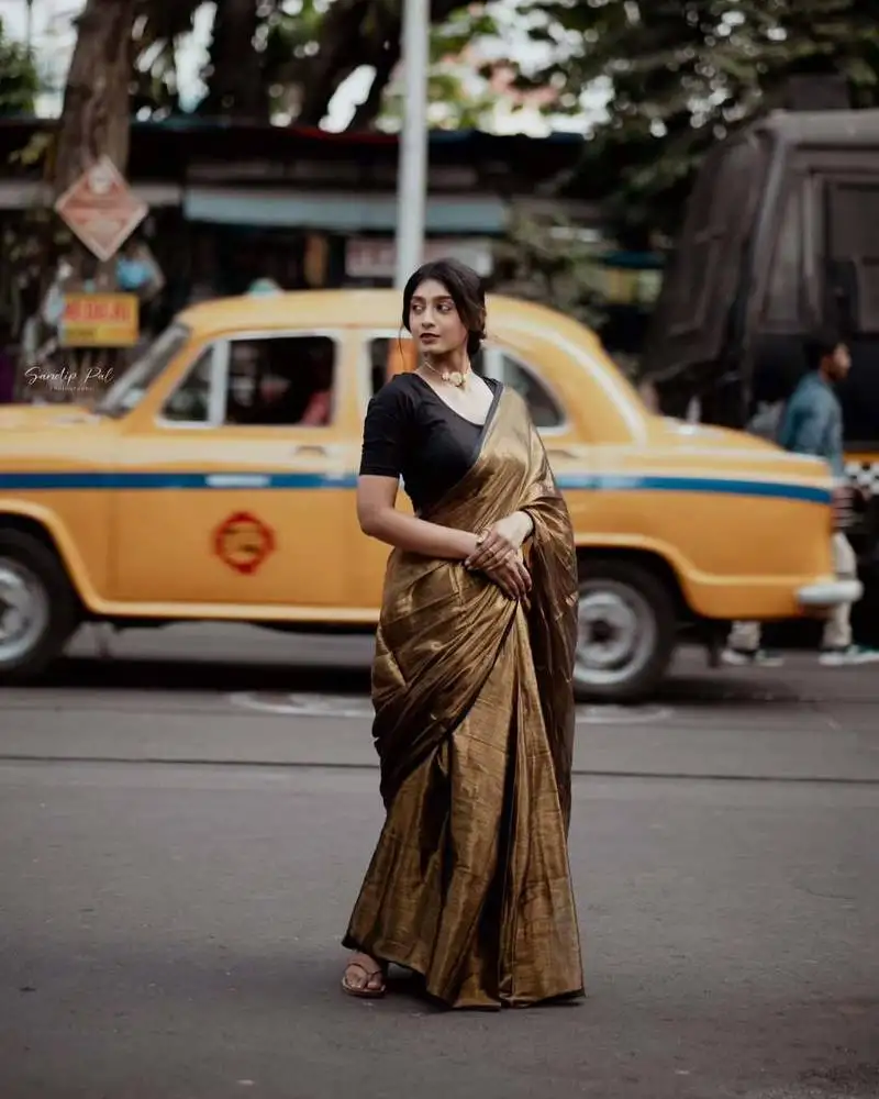 Aakar swarnika | gold handloom tissue saree