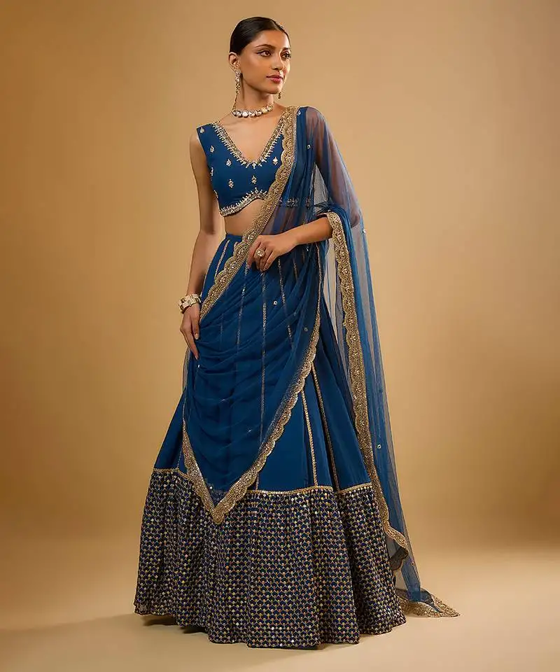 Blue hand embroidered georgette lehenga