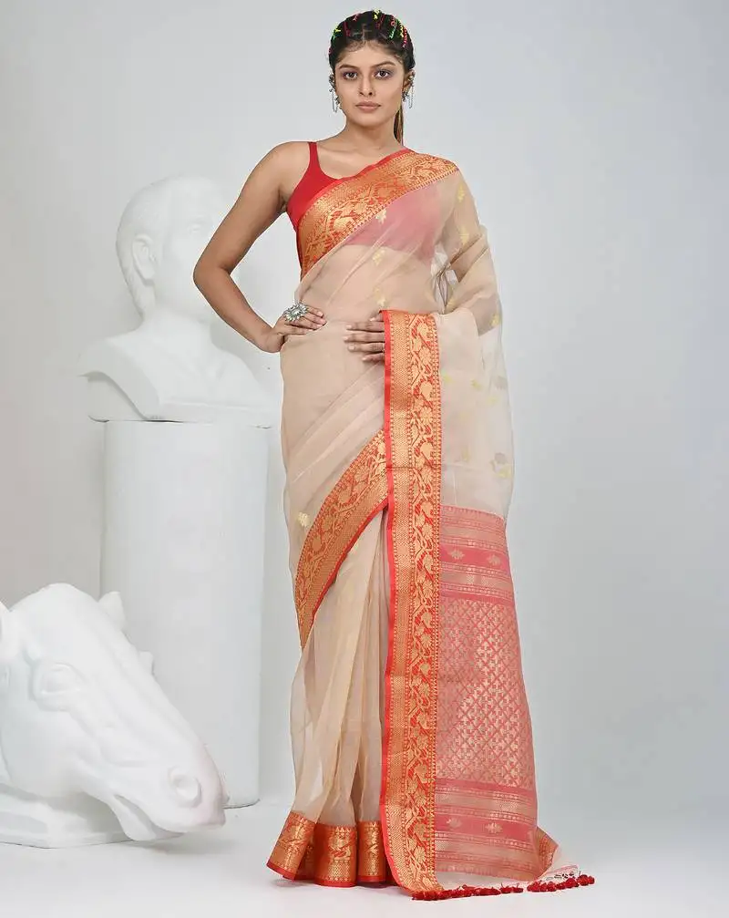 Elegant beige and red resham saree with zari border