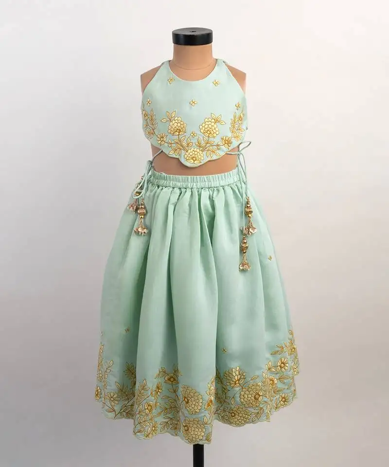 Blue embroidered silk lehenga