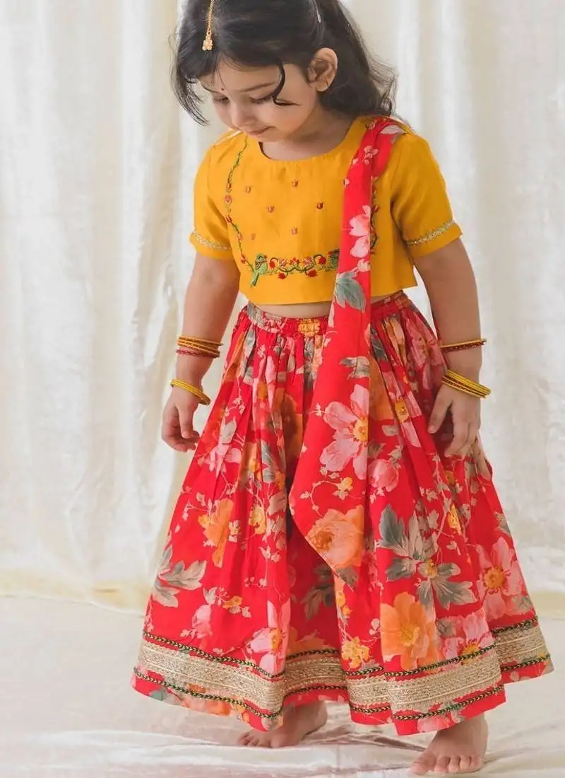 Red embroidered chanderi silk lehenga