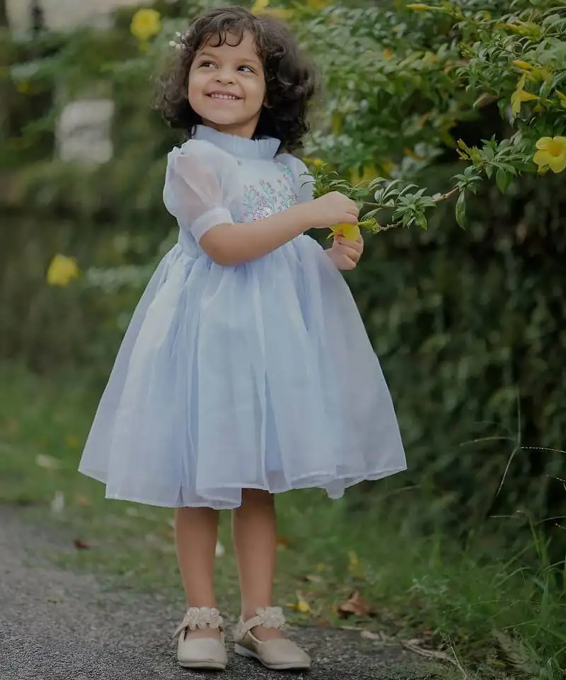Powder blue organza embroidered flared frill frock for girls