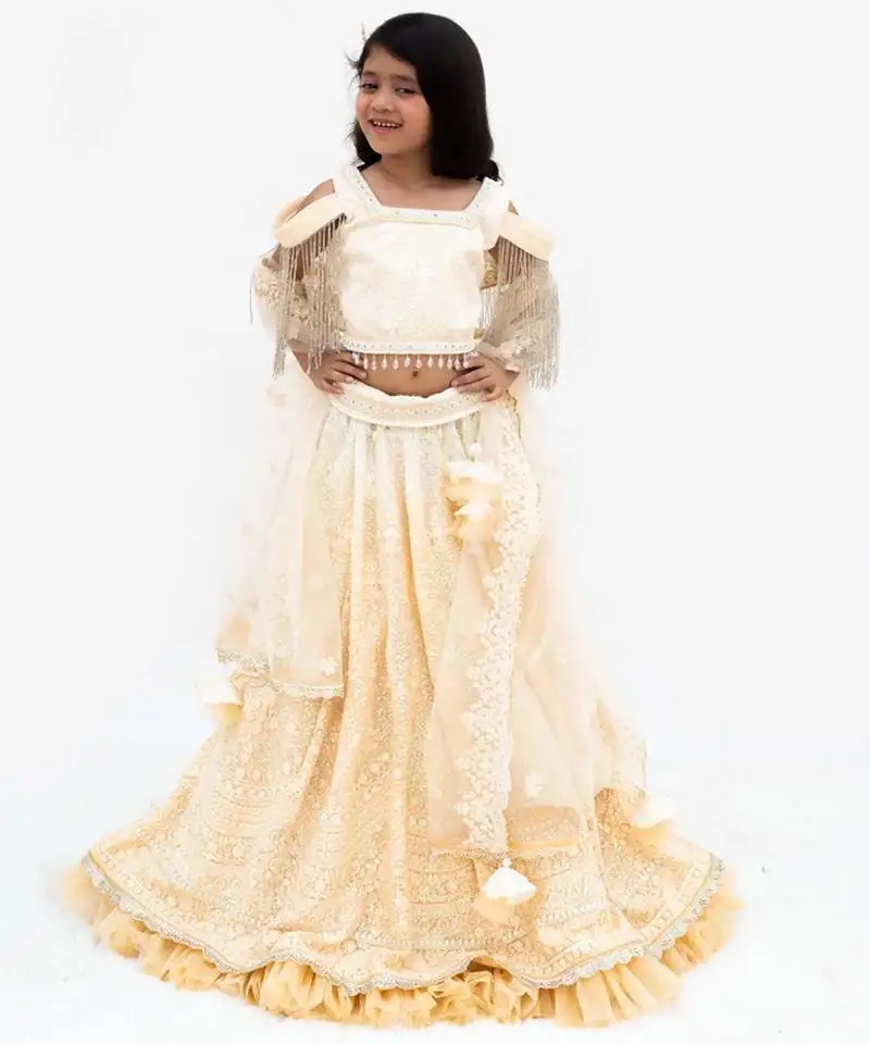 Beige georgette embroidered lehenga for girls