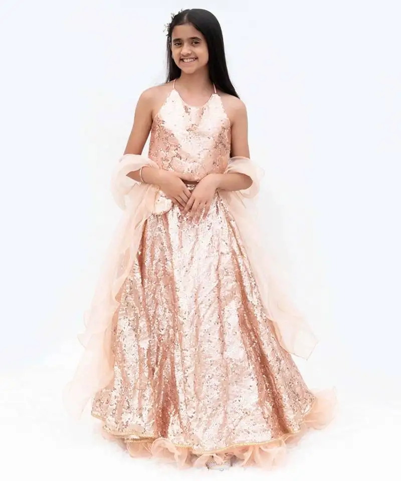 Peach net embroidered lehenga for girls