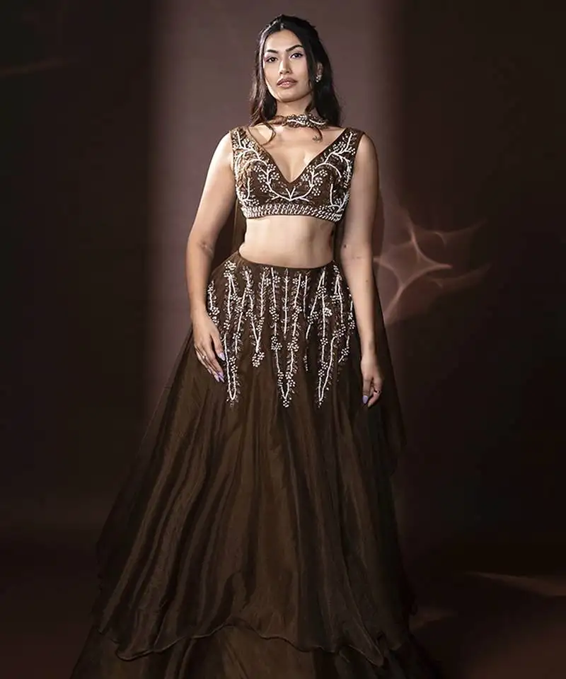 Brown organza embroidered lehenga