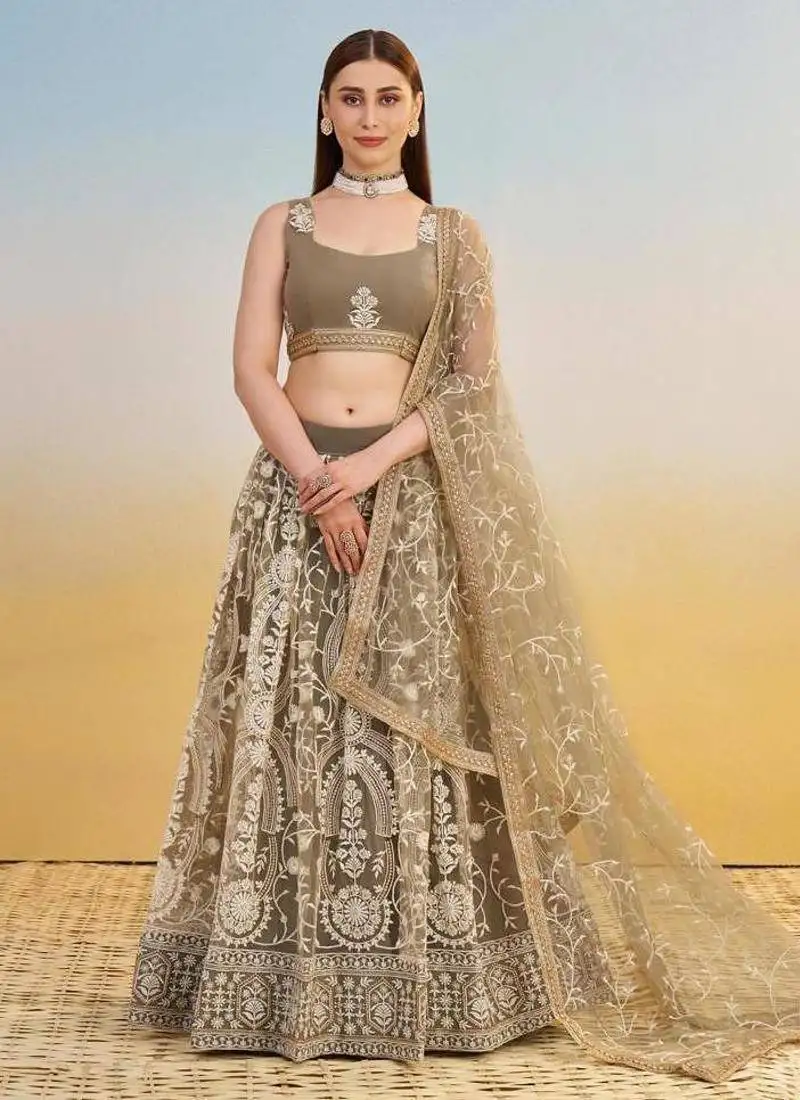 Ivory embroidery net a line lehenga with blouse