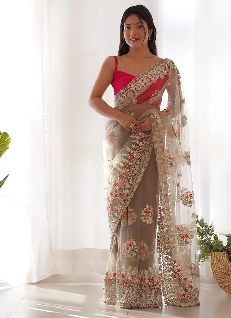 Beige butterfly net with chain stitch embroidered work saree with blouse