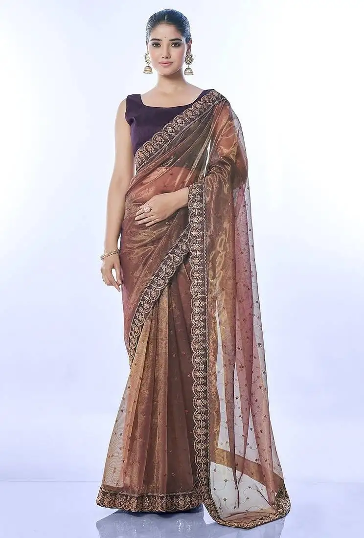 Brown net saree with sequin and embroidered work