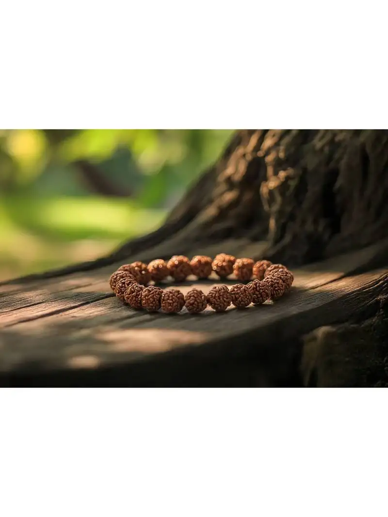 5 mukhi rudraksha stretchable bracelet