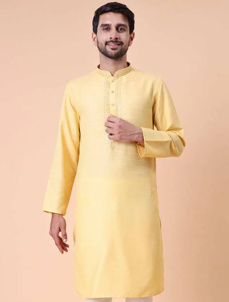 Men's mandarin collar embroidered cotton straight kurta