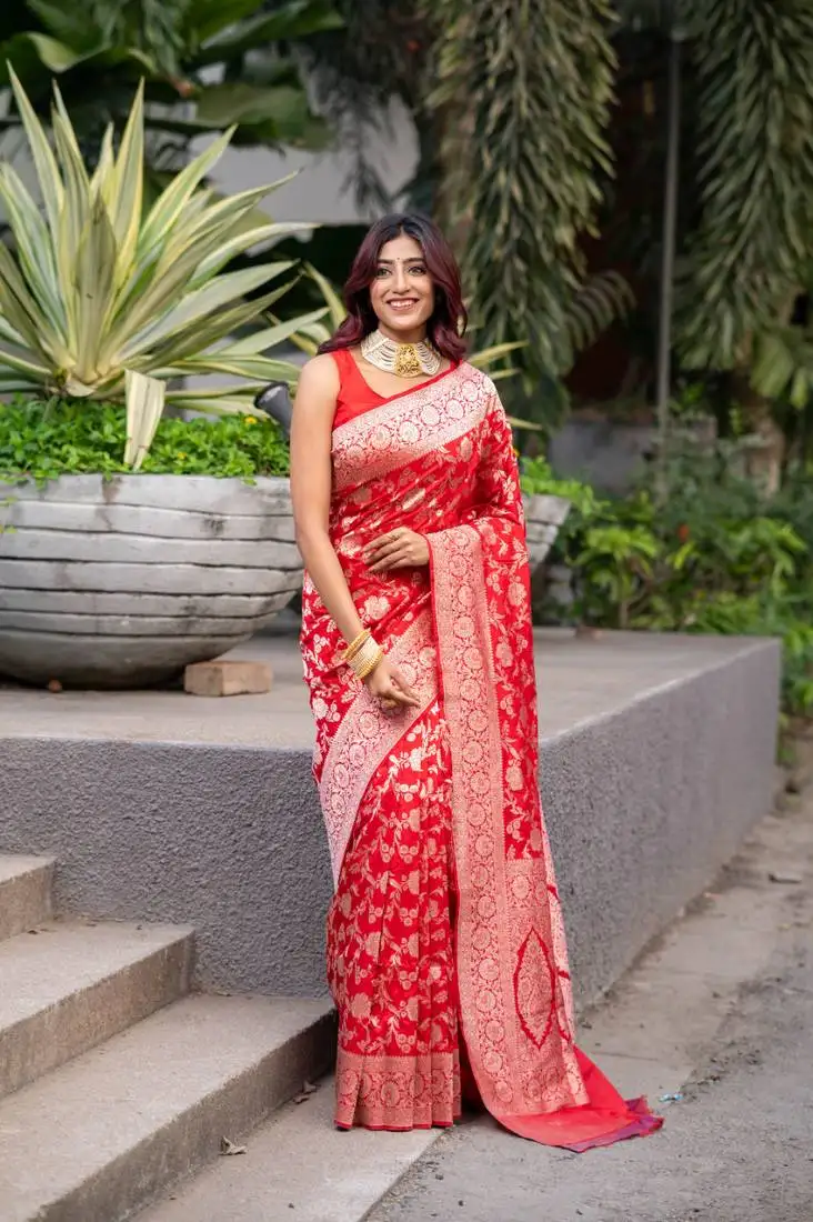 Red pure banarasi katan silk saree with silver zari jaal motifs and border