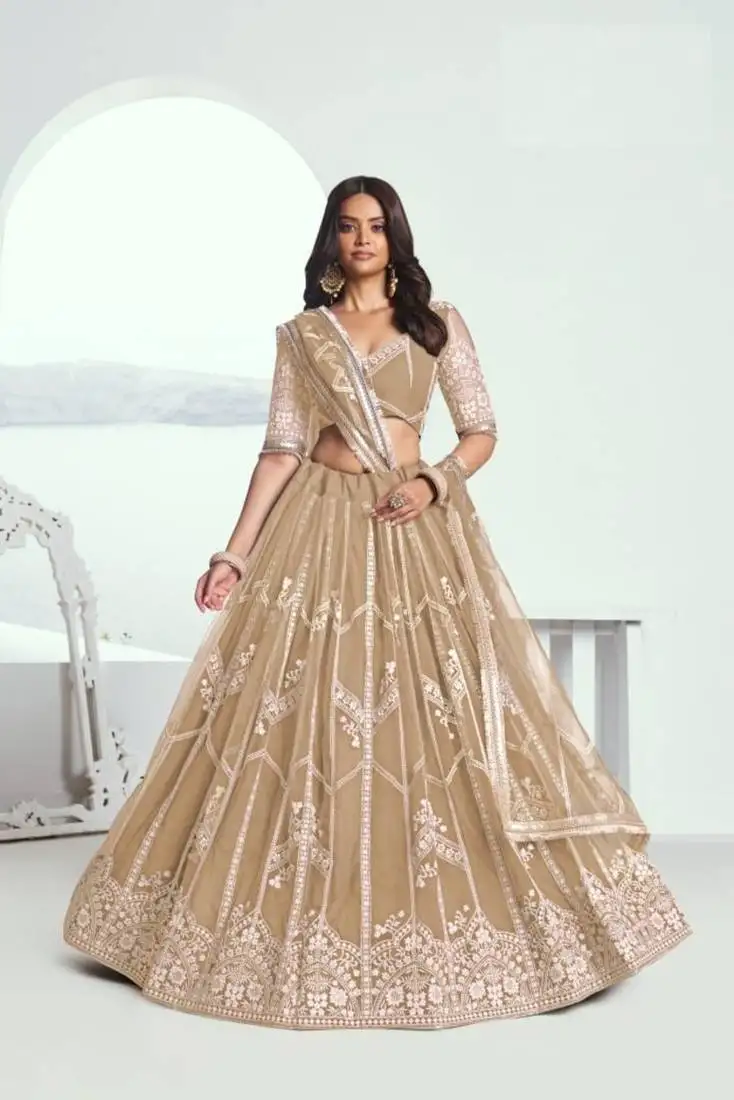 Beige heavy embroidery net semi stitch a line lehenga with blouse