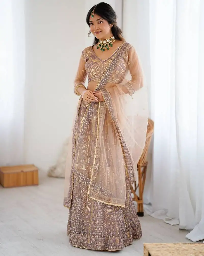 Beige butterfly net embroidery and sequins work lehenga choli