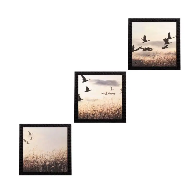 Set of 3 flying birds scenary satin matt texture uv art painting