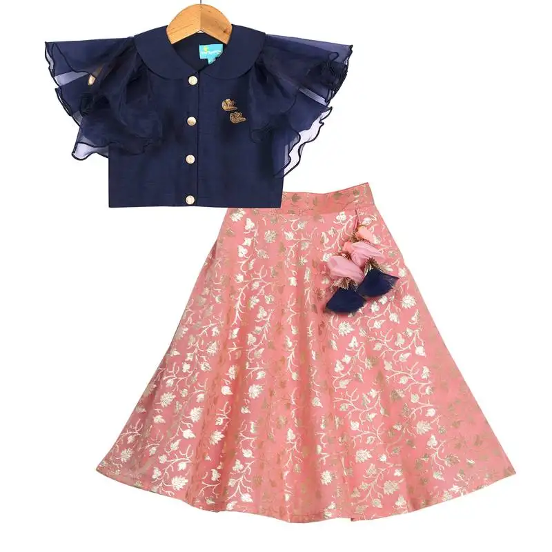 Pink & blue banarasi chanderi silk lehenga with peter pan collar crop top