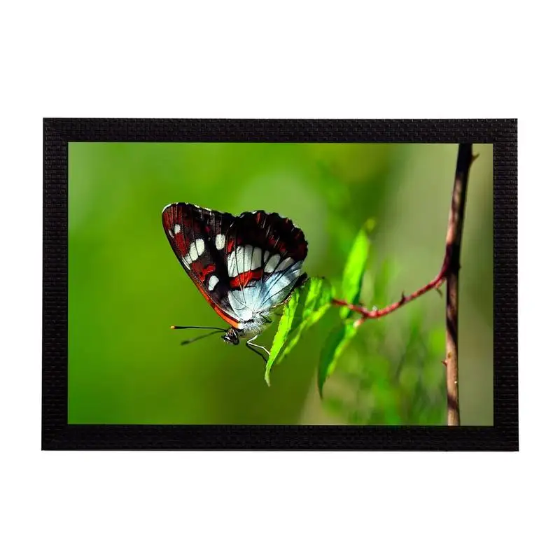 Butterfly satin matt texture uv art painting