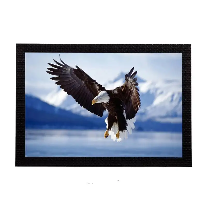 Eagle satin matt texture uv art painting