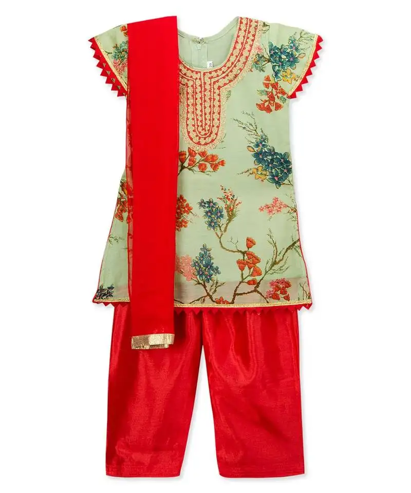 Printed embroidred neck salwar suit with dupatta