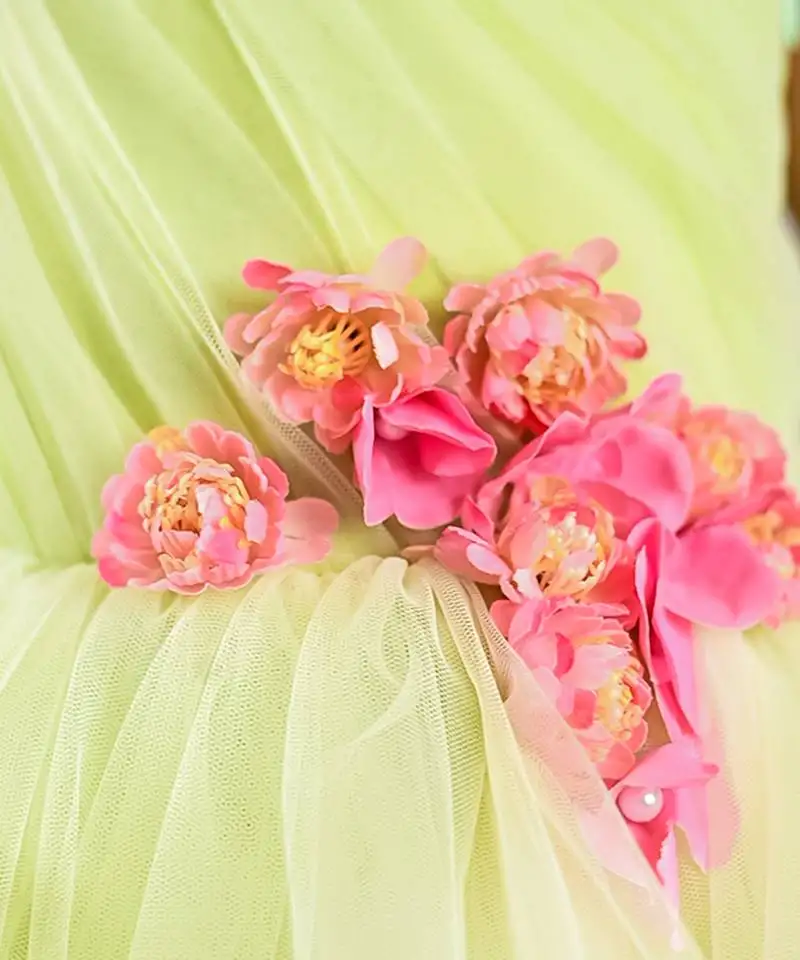 Multicolor embroidered net dress