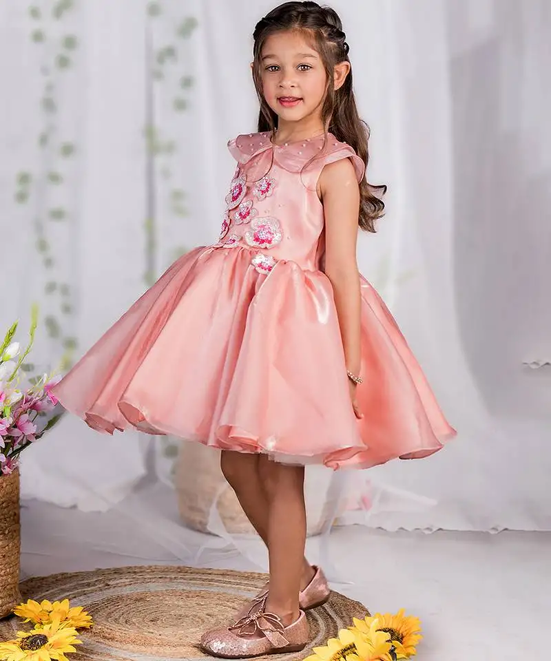 Peach embroidered organza dress