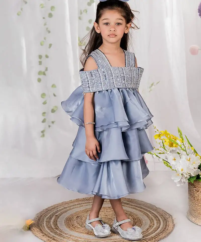 Grey embroidered organza dress