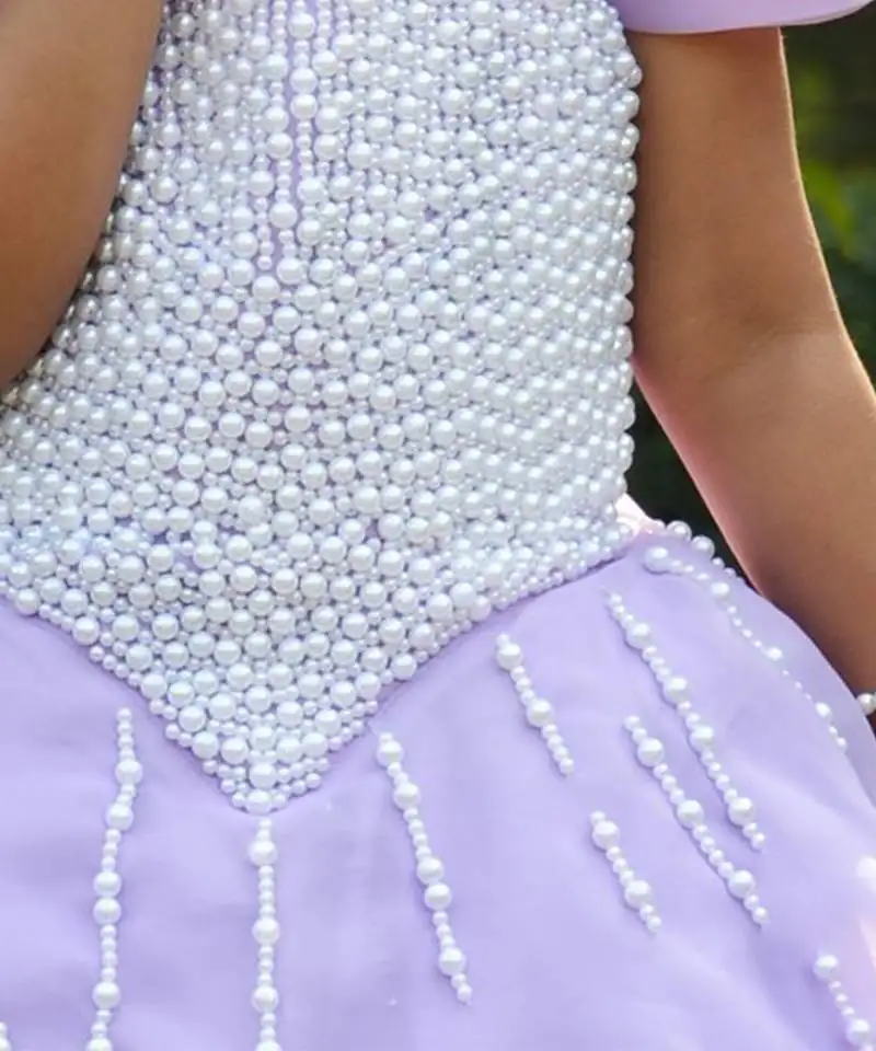 Purple embroidered organza gown