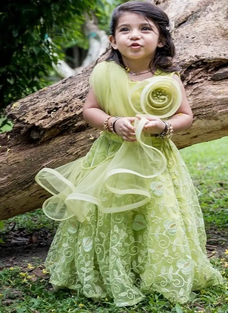 Green embroidered net lehenga