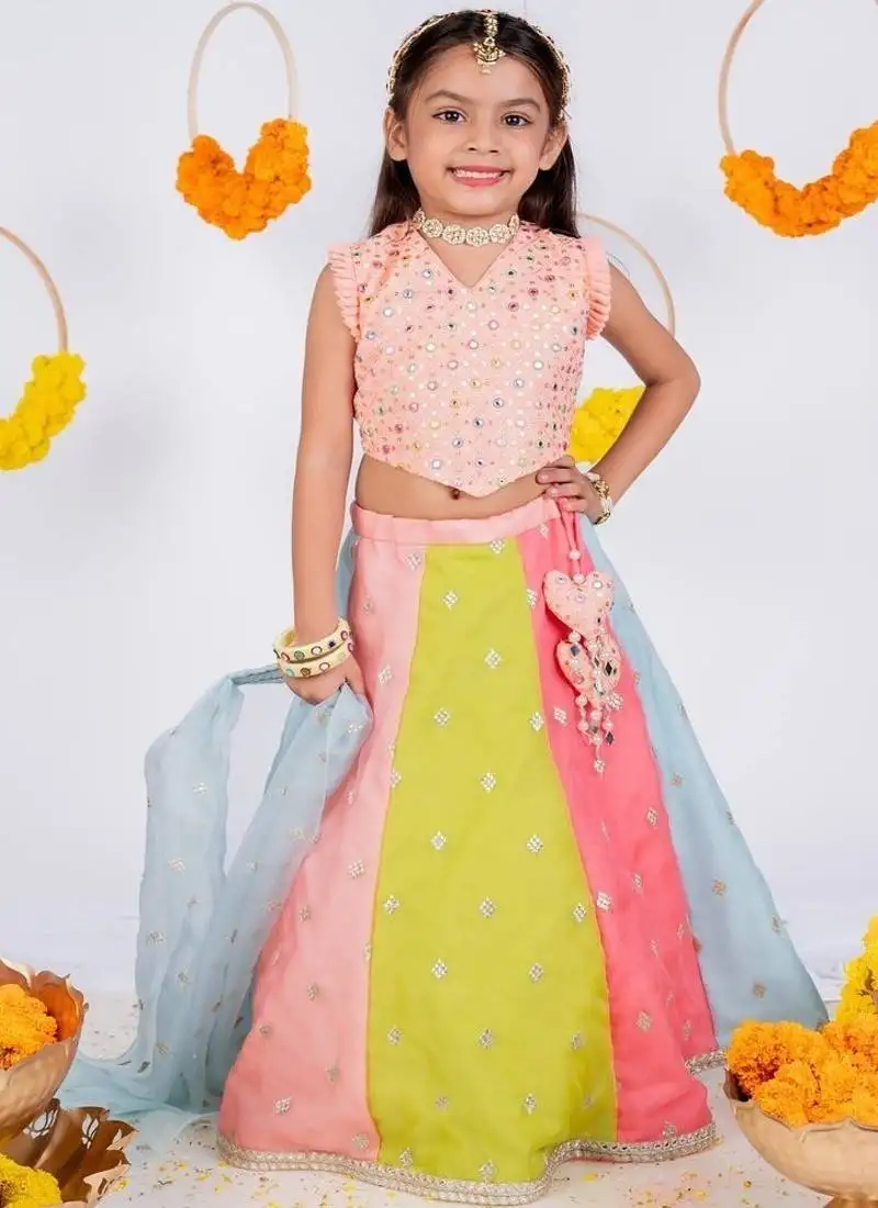 Multicolor embroidered cotton silk lehenga