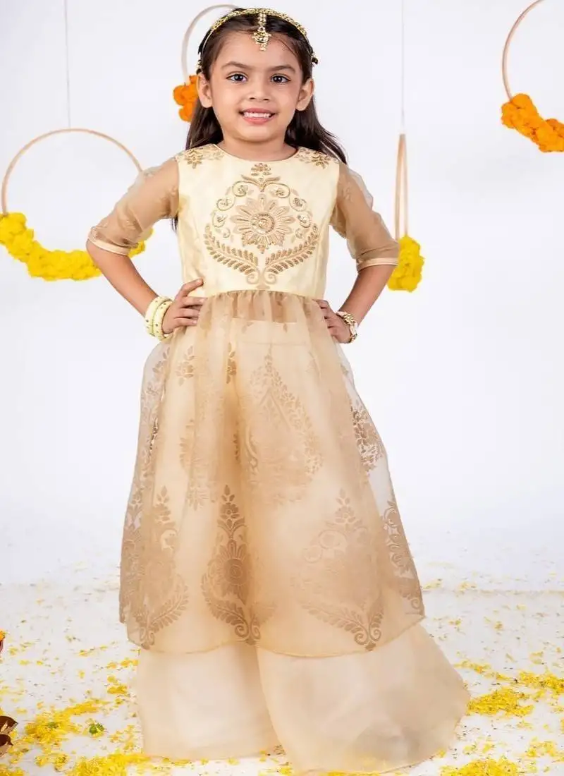 Beige embroidered organza anarkali gown