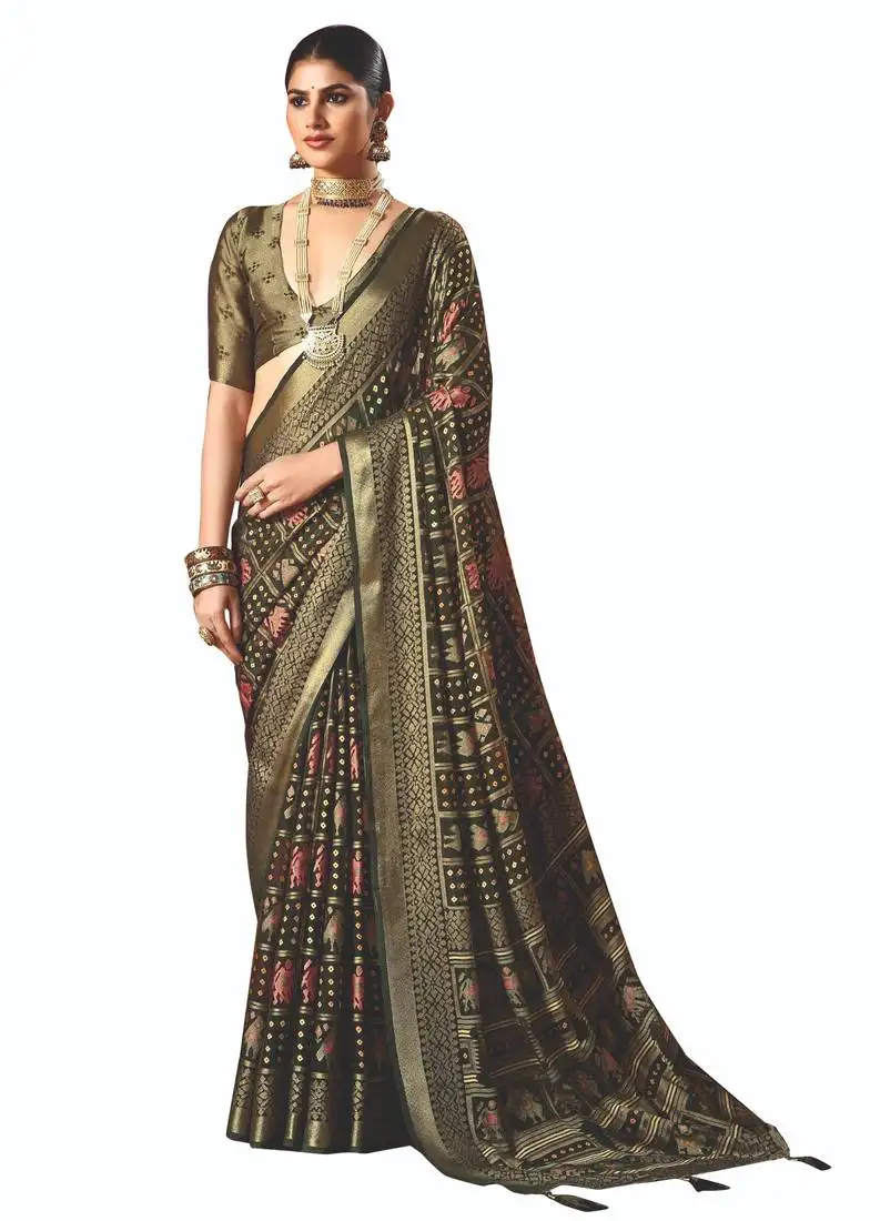 Black brasso border work saree