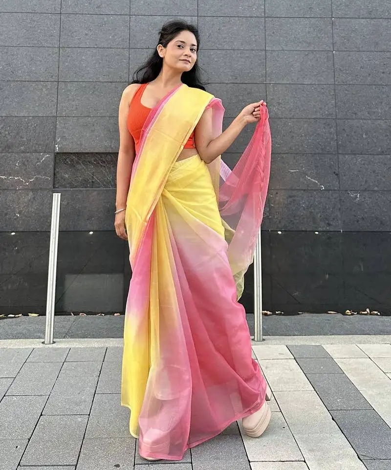 Multicolor organza saree
