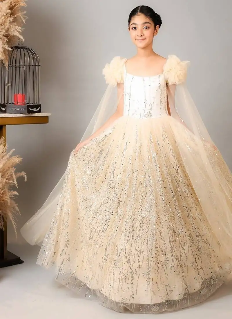 Gold embroidered net gown