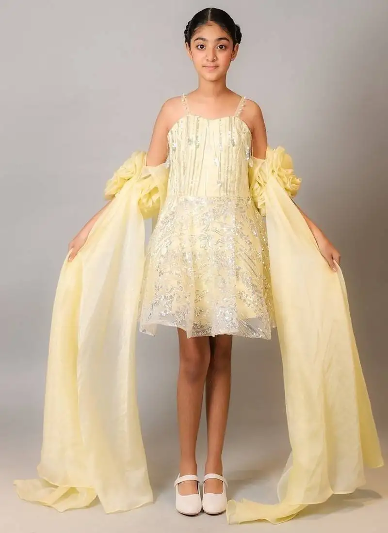Yellow embroidered organza dress