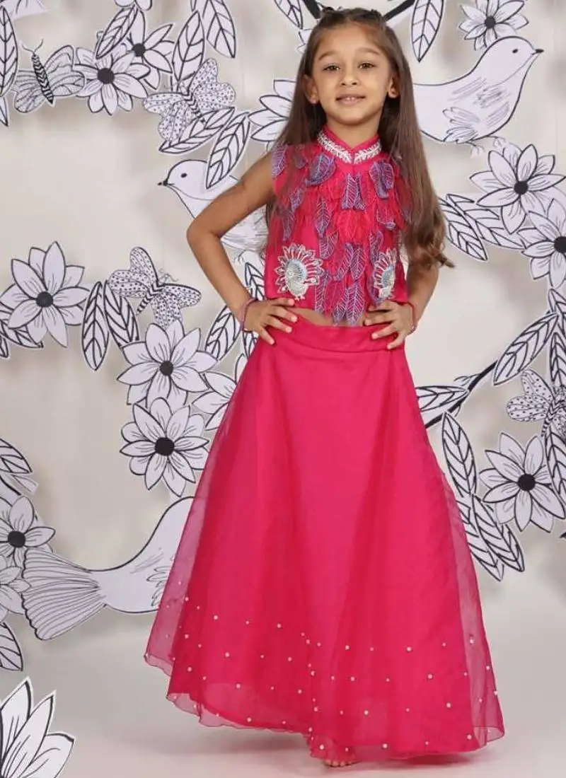 Peacock garden girls set 3d leaf embroidered top & pink organza skirt