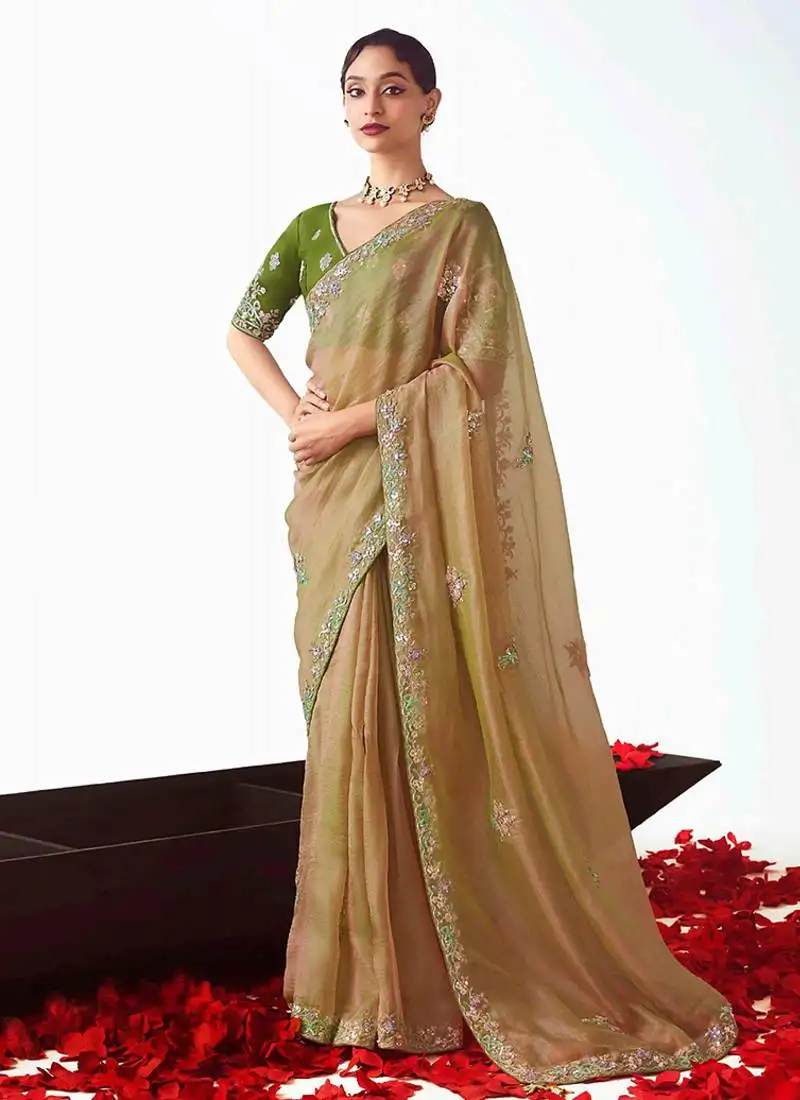 Beige embroidered cut work fancy fabric ceremonial designer saree