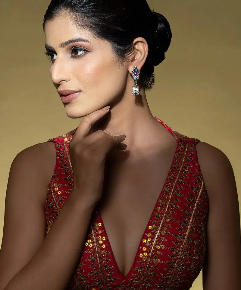 Multi-stone silver earrings