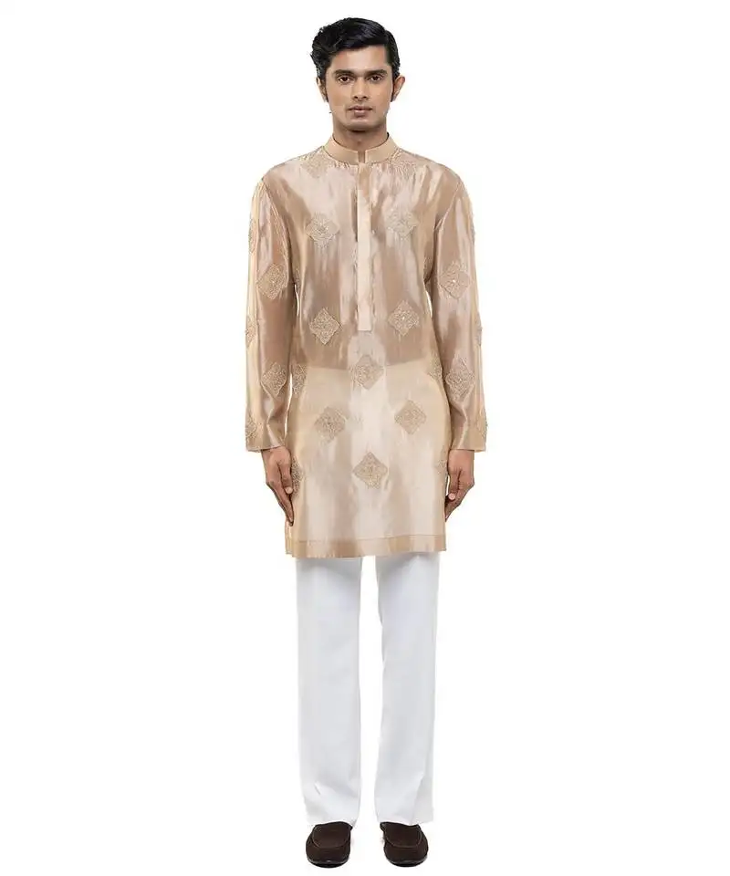 Beige embroidered organza kurta set