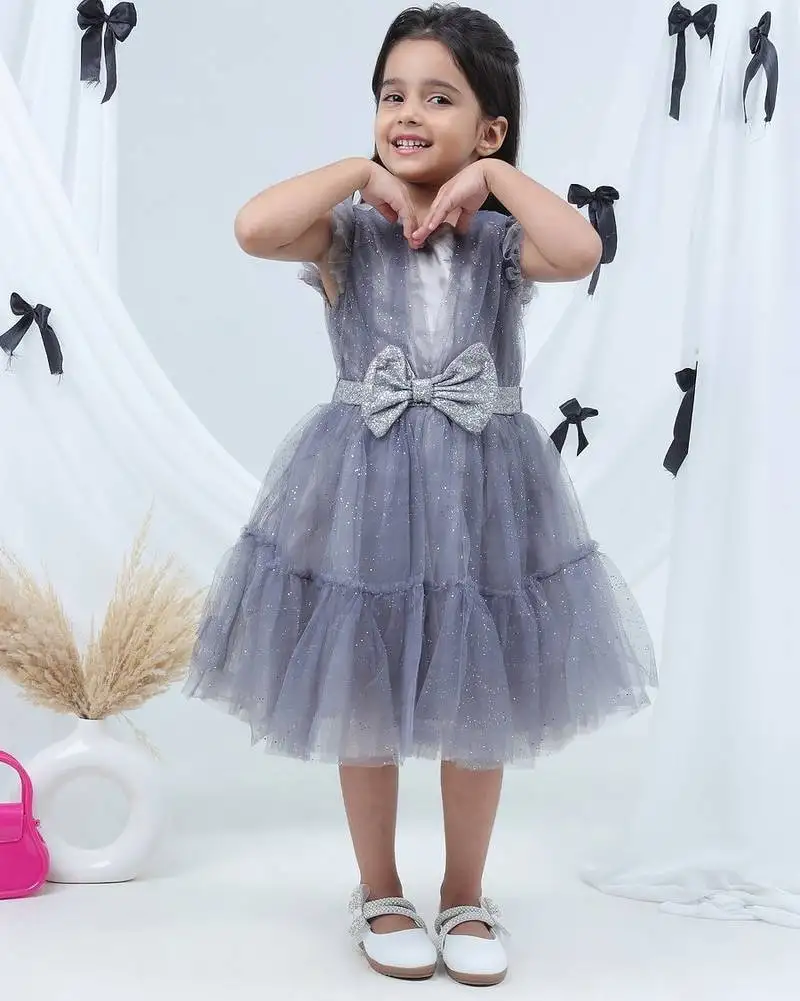 Grey embroidered net dress