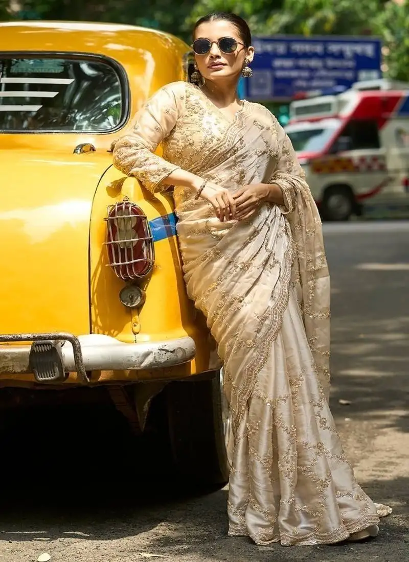 Chiku embroidered organza saree