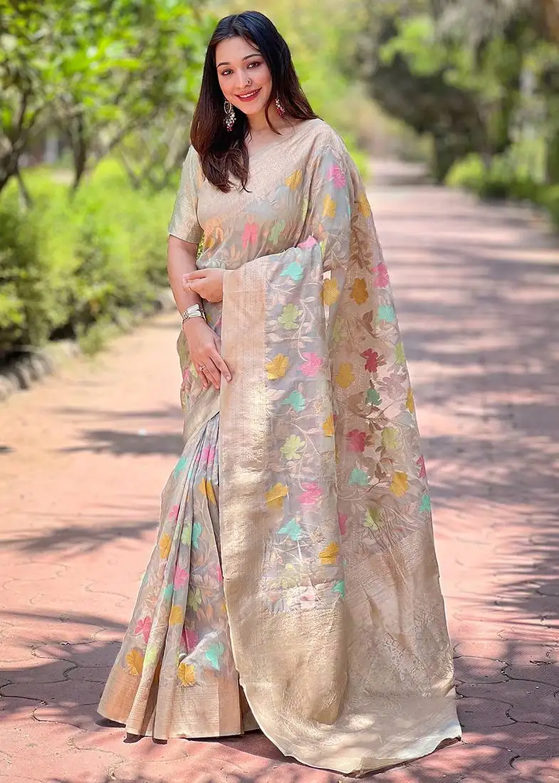 Grey weaving meenakari jaal designer organza saree with blouse piece